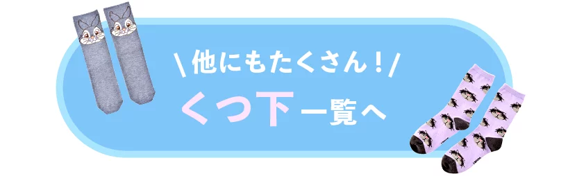 他にもたくさん！ くつ下一覧へ