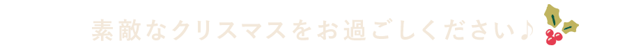 素敵なクリスマスをお過ごしください♪