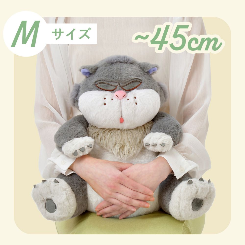 Mサイズ(~45cm)