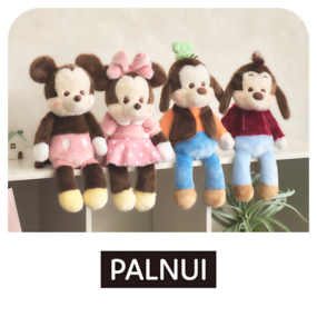 PALNUI