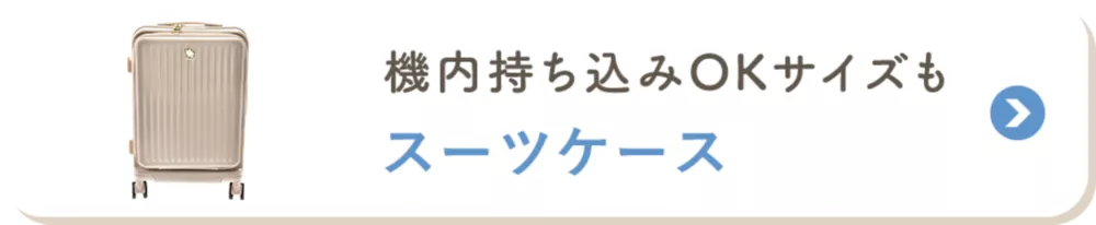 機内持ち込みOKサイズも スーツケース