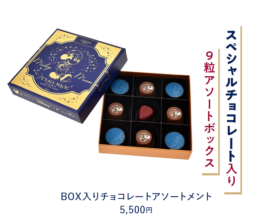 スペシャルチョコレート入り 9粒アソートボックス BOX入りチョコレートアソートメント 5,500円