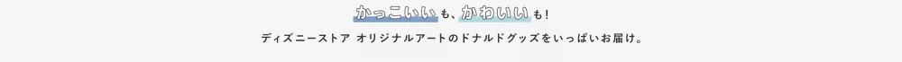 かっこいいも、かわいいも！ディズニーストア オリジナルアートのドナルドグッズをいっぱいお届け。