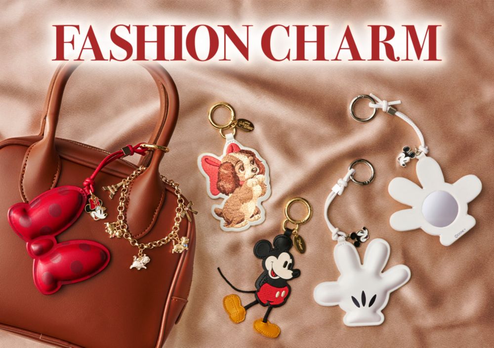 FASHION CHARM