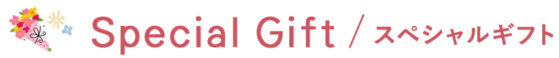Special Gift スペシャルギフト