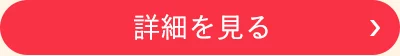 詳細を見る