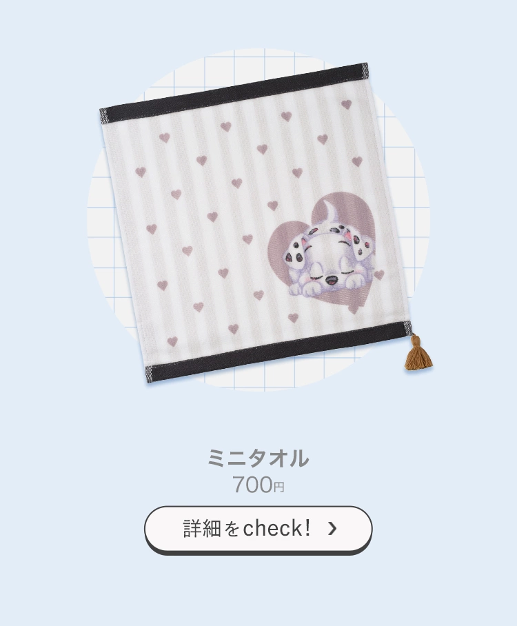 ミニタオル 700円 詳細をcheck!