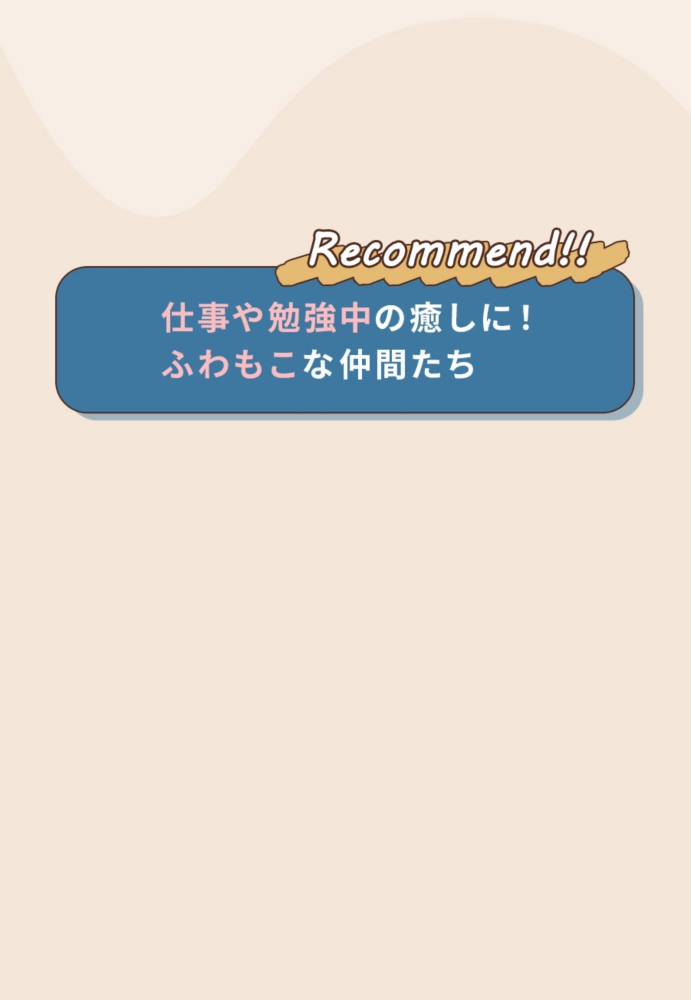 Recommend!! 仕事や勉強中の癒しに！ ふわもこな仲間たち