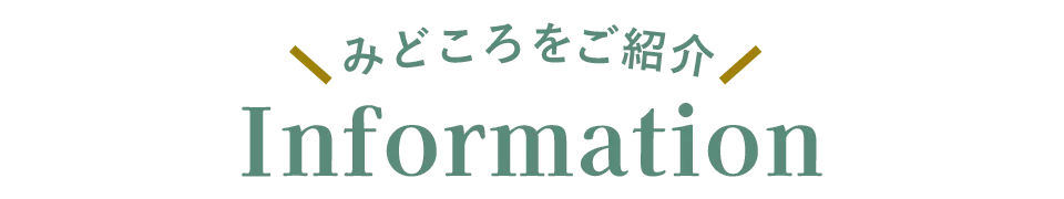 見どころをご紹介 Information