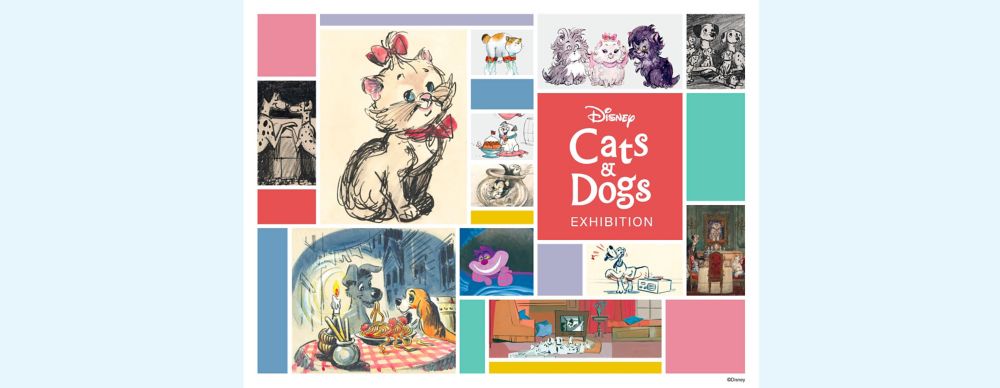 ディズニー キャッツ&ドッグス展開催！ディズニーストアで特製ステッカープレゼント♪