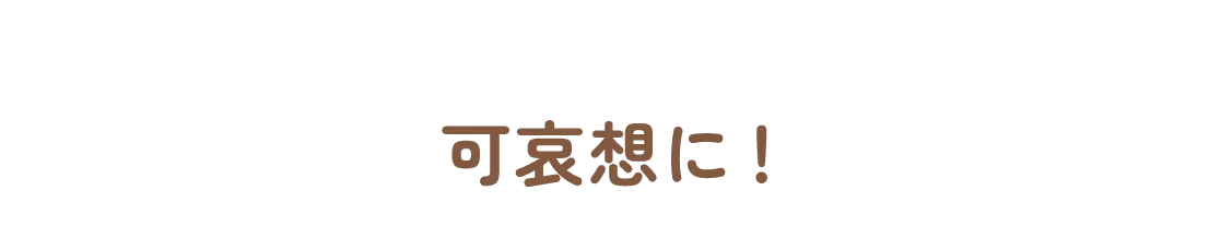 可哀想に！