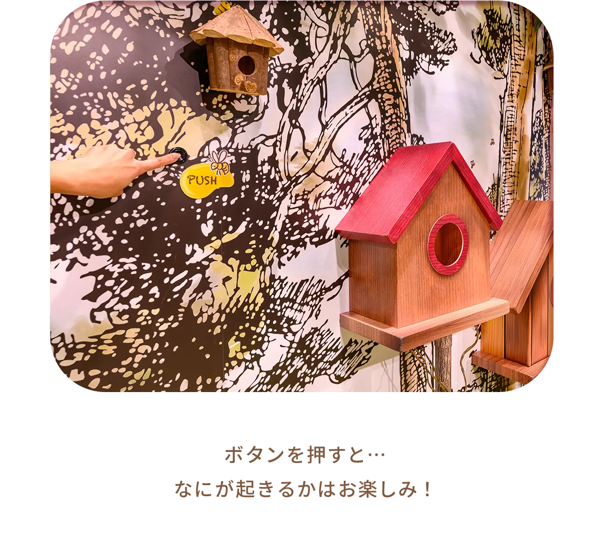 ボタンを押すと…なにが起きるかはお楽しみ♪
