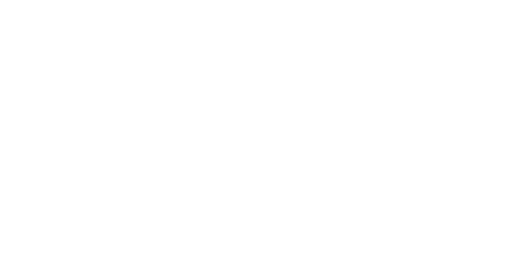 ジェシー＆ブルズアイの賑やかなトートバッグ