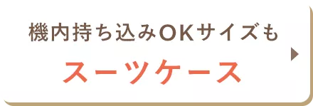 機内持ち込みOKサイズも スーツケース