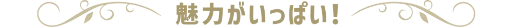 魅力がいっぱい！