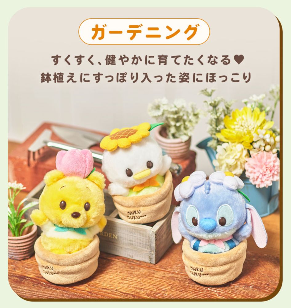 ガーデニング　すくすく、健やかに育てたくなる♡鉢植えにすっぽり入った姿にほっこり