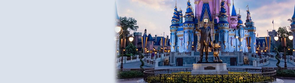 ディズニー ディズニーランド 海外 アメリカ タペストリー 新品 未使用