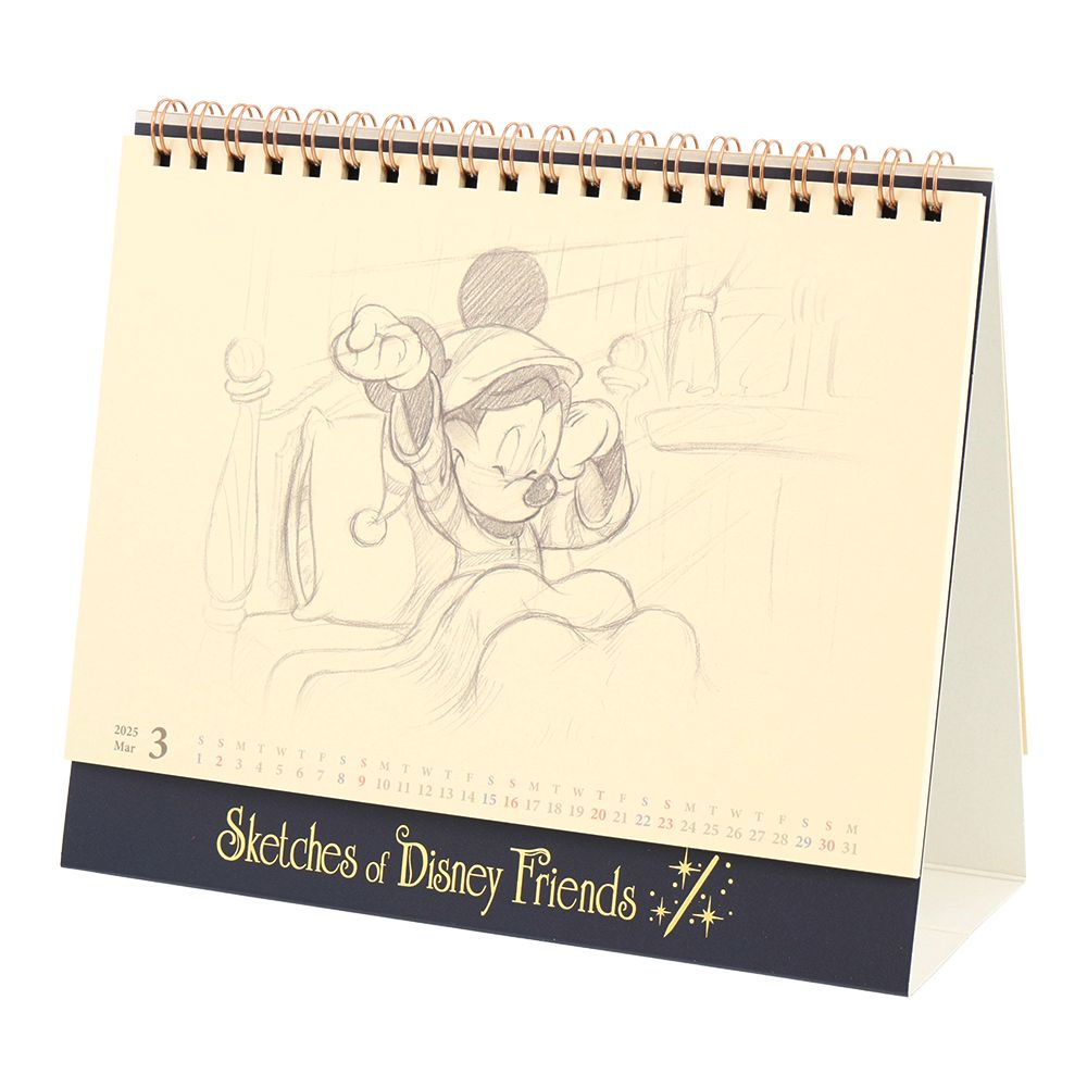 ディズニーストア バケーション 卓上 カレンダー カウントダウン ミッキー ディズニーストア バケーション 卓上 カレンダー カウントダウン