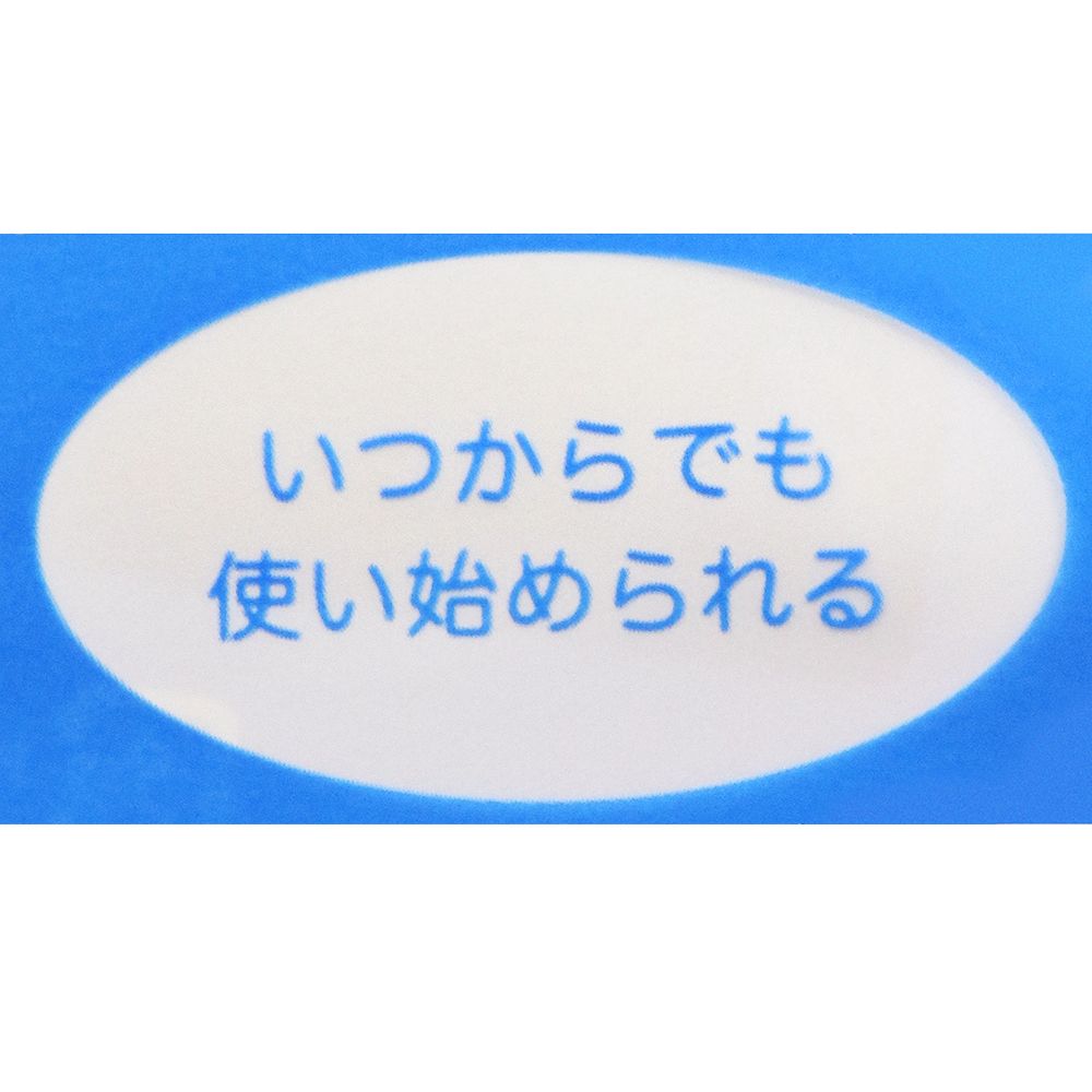 手帳 ミッキーマウスと仲間たち