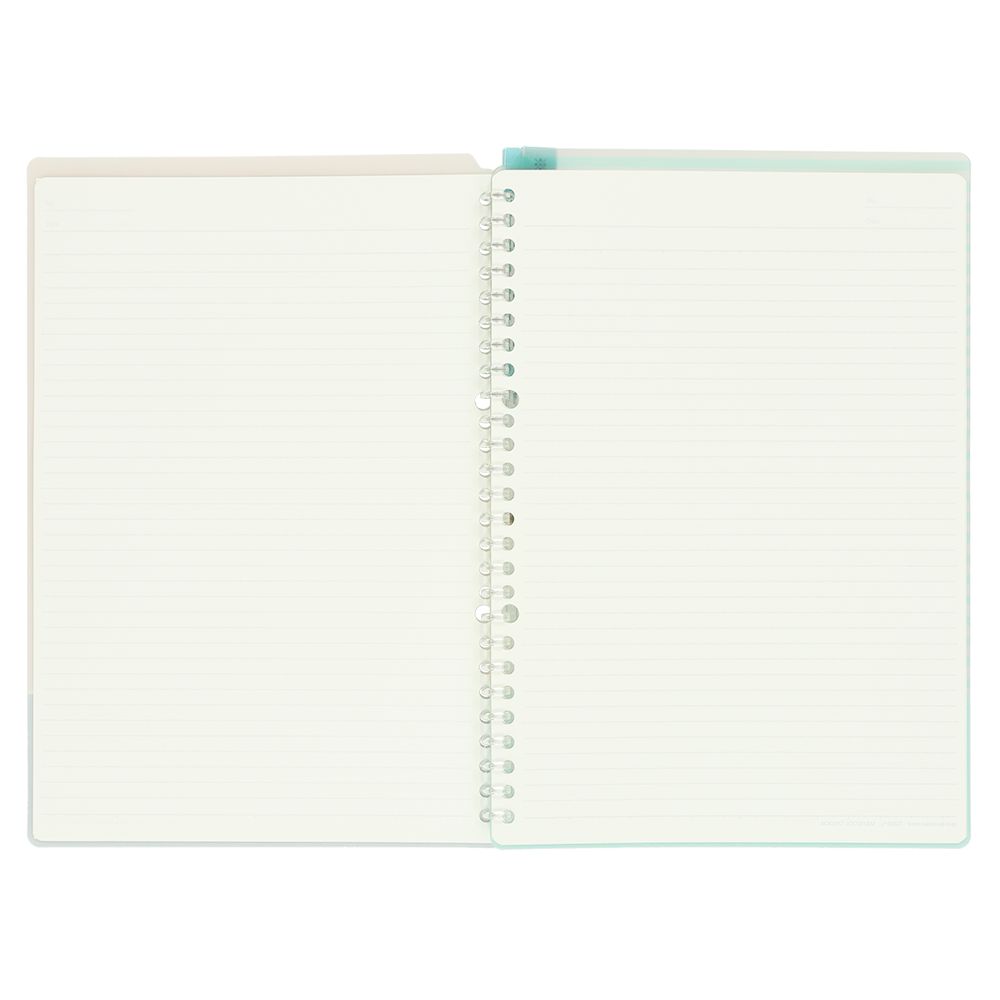 バインダーB5 東京ディズニーリゾート