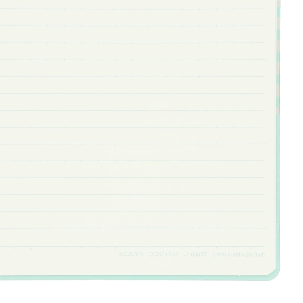 バインダーB5 東京ディズニーリゾート