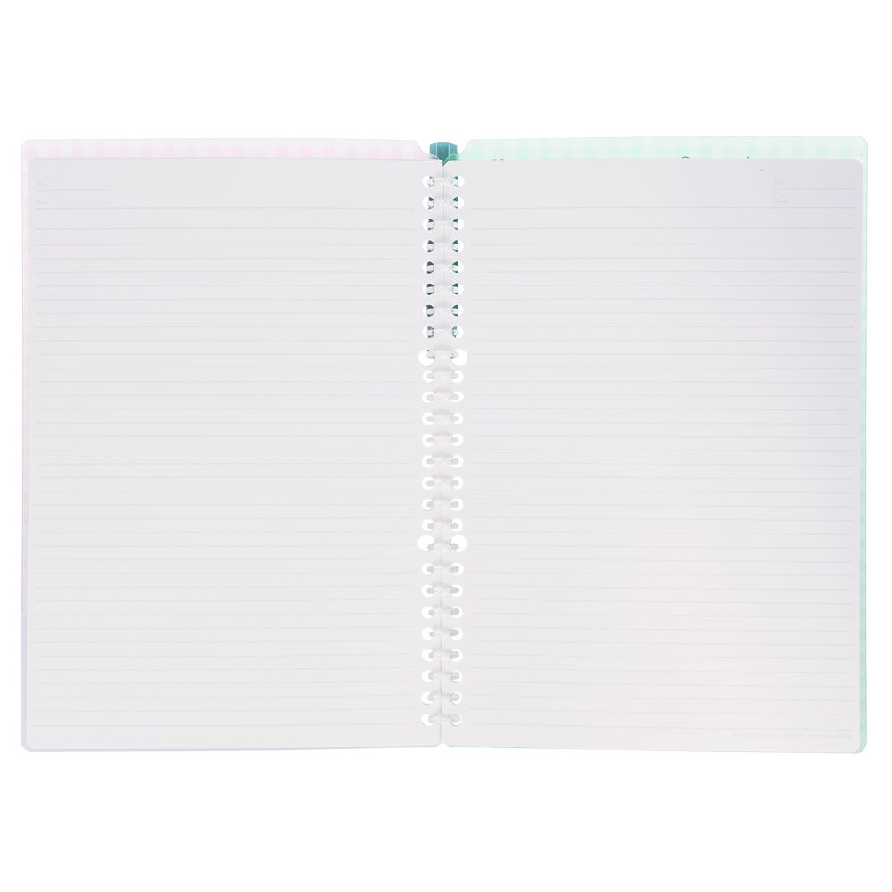 バインダー 東京ディズニーリゾート