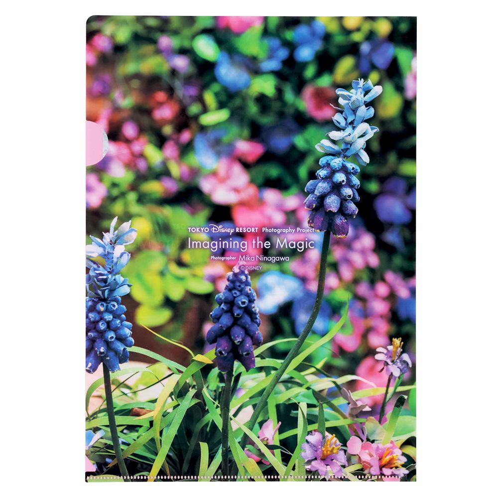 クリアホルダー ポストカード2枚 ミッキー ミニー イマジニング・ザ・マジック