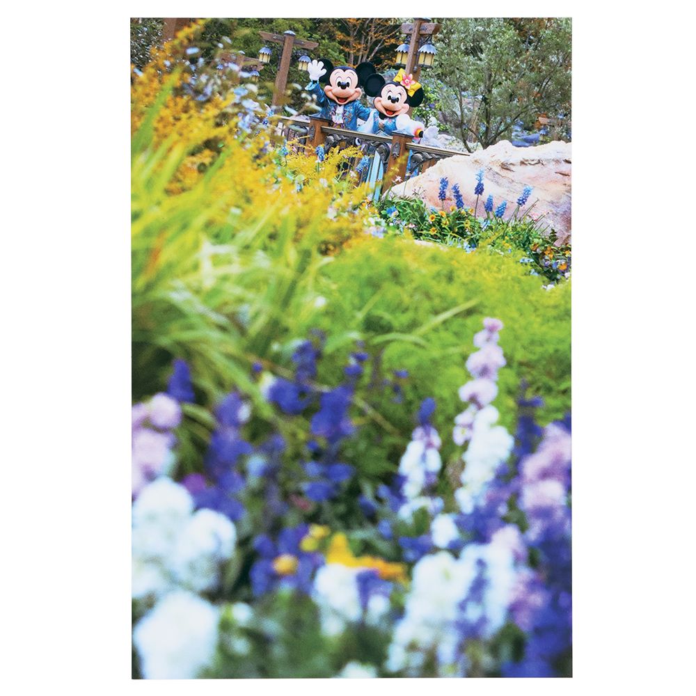 クリアホルダー ポストカード2枚 ミッキー ミニー イマジニング・ザ・マジック