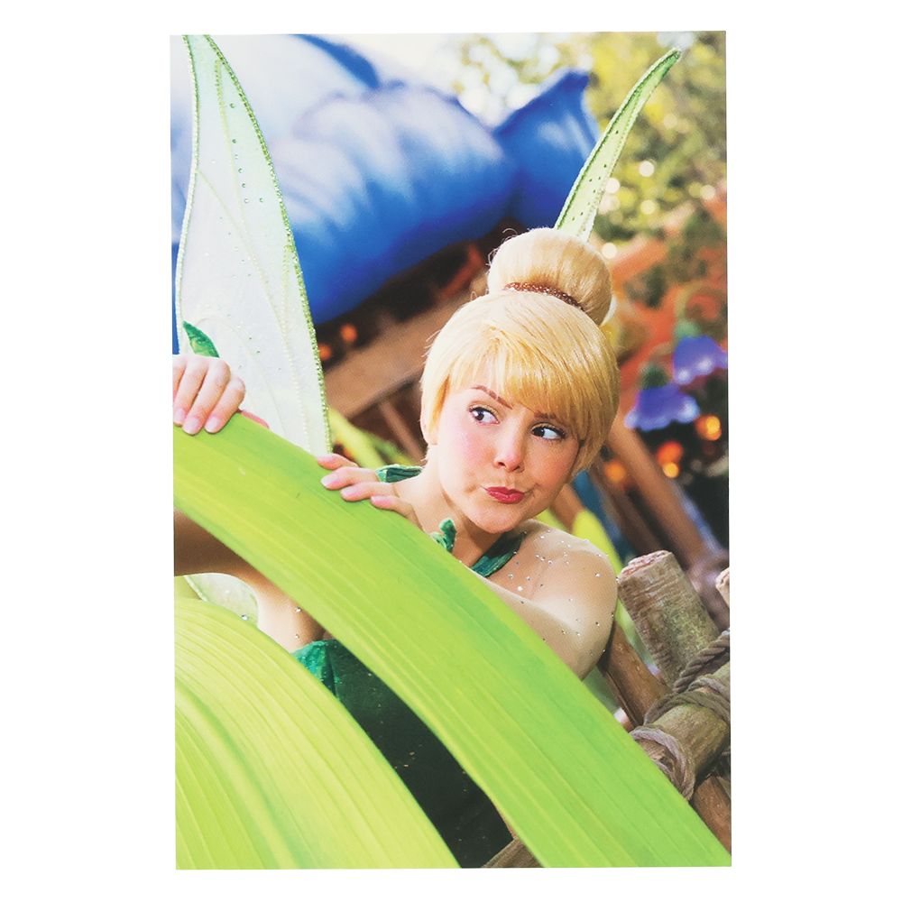 ポストカード2枚 ディズニー ティンカーベル イマジニング・ザ・マジック