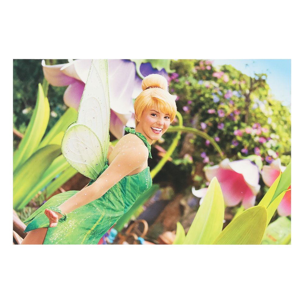 ポストカード2枚 ディズニー ティンカーベル イマジニング・ザ・マジック