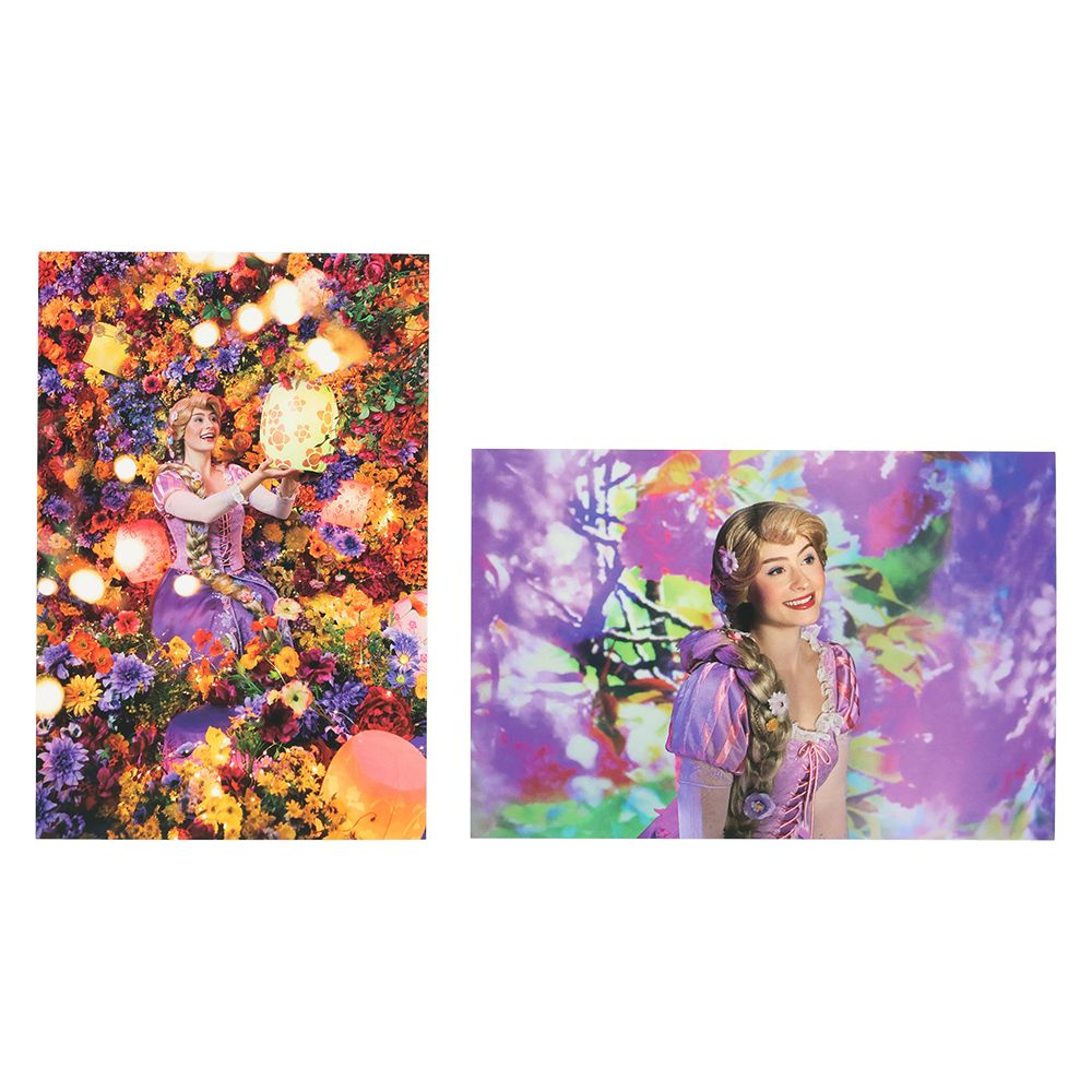 ポストカード2枚 ラプンツェル イマジニング・ザ・マジック
