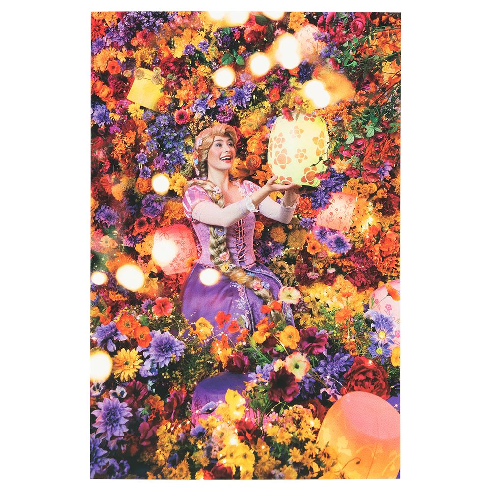 ポストカード2枚 ラプンツェル イマジニング・ザ・マジック