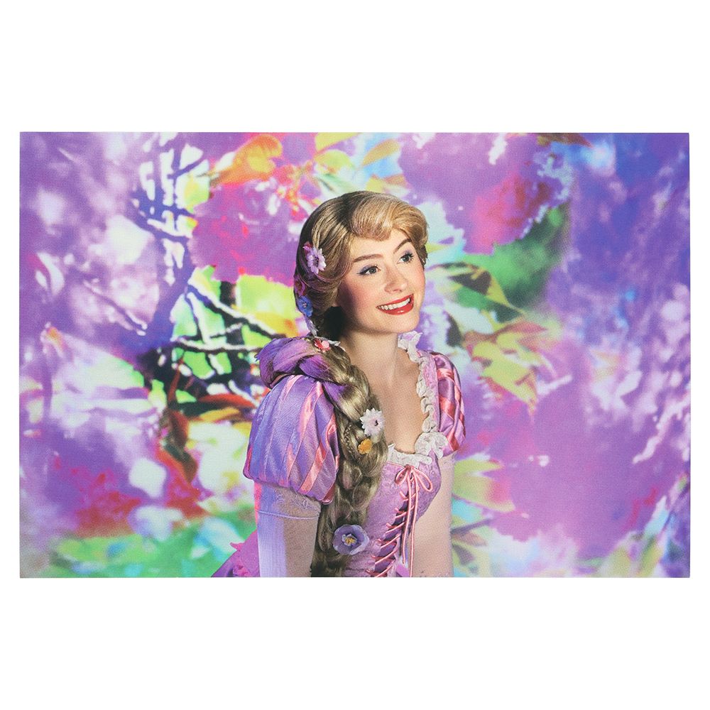 ポストカード2枚 ラプンツェル イマジニング・ザ・マジック