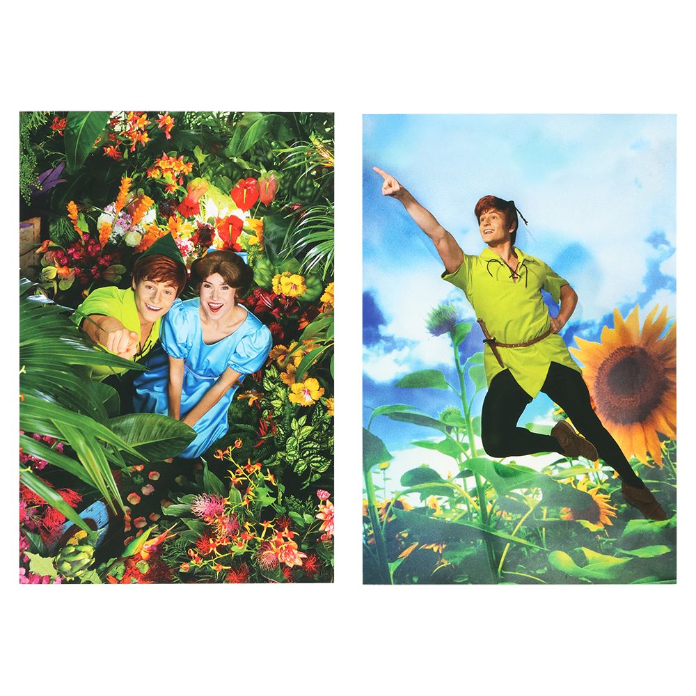 ポストカード2枚 ピーター・パン イマジニング・ザ・マジック