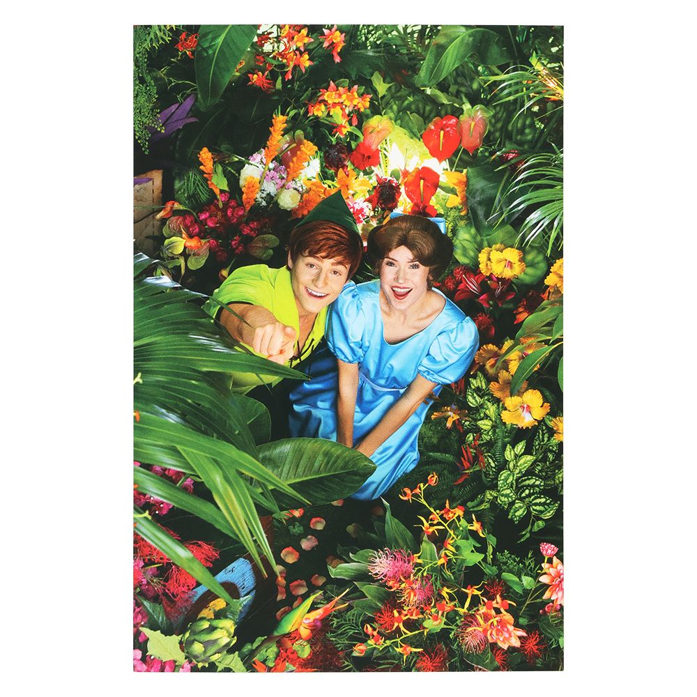 ポストカード2枚 ピーター・パン イマジニング・ザ・マジック