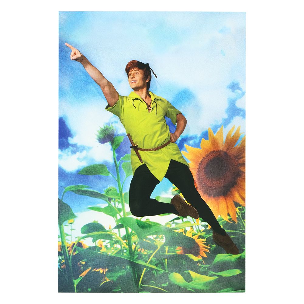 ポストカード2枚 ピーター・パン イマジニング・ザ・マジック