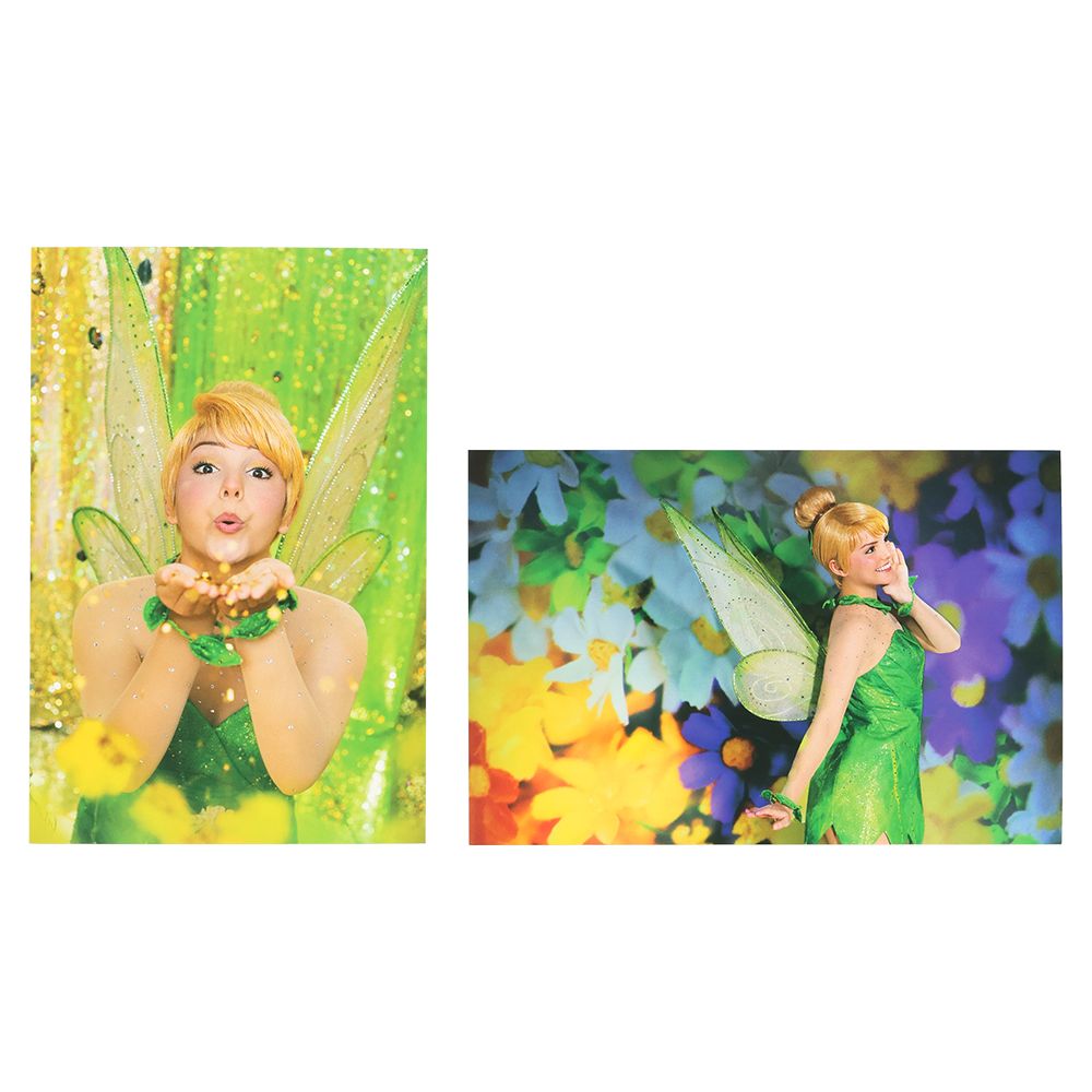 ポストカード2枚 ディズニー ティンカーベル イマジニング・ザ・マジック