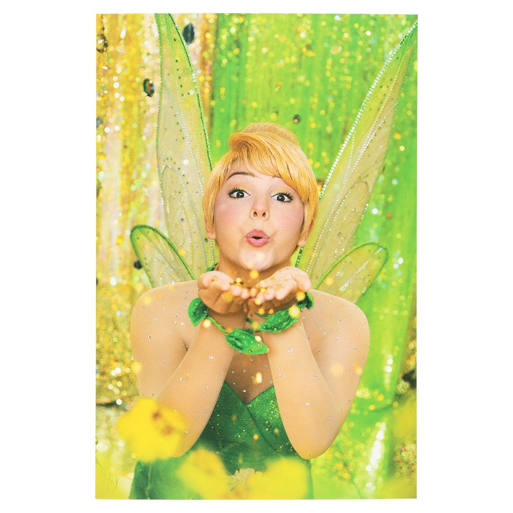ポストカード2枚 ディズニー ティンカーベル イマジニング・ザ・マジック