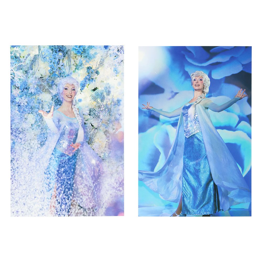 ポストカード2枚 エルサ イマジニング・ザ・マジック