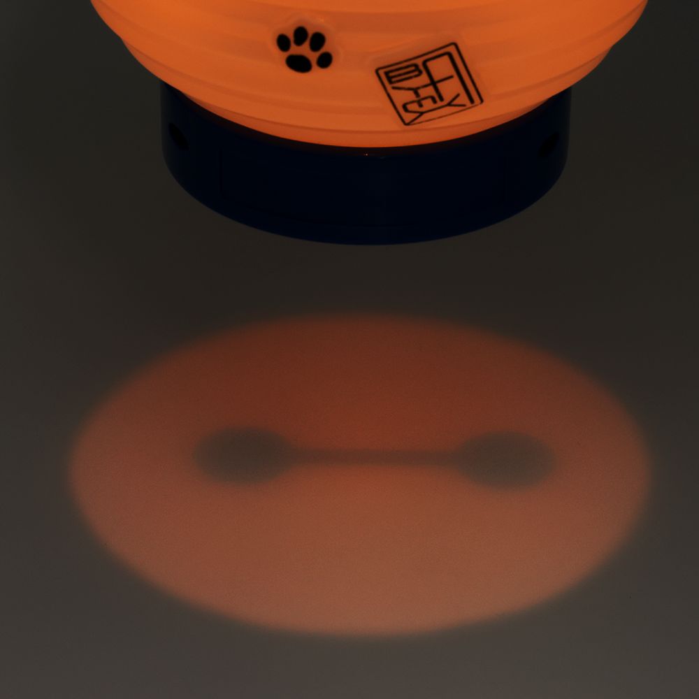 ランタン ベイマックス