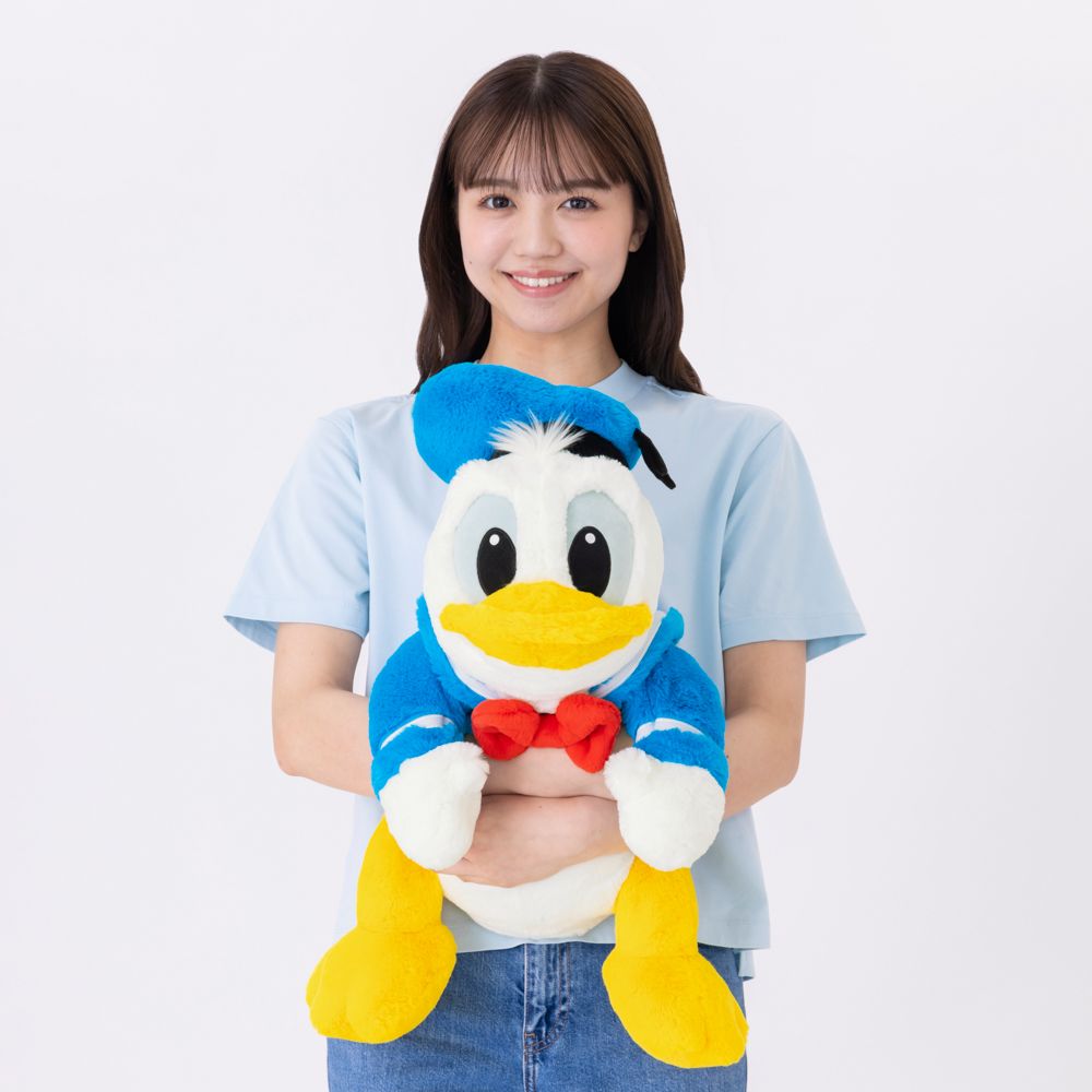 だきぬいぐるみ ドナルド