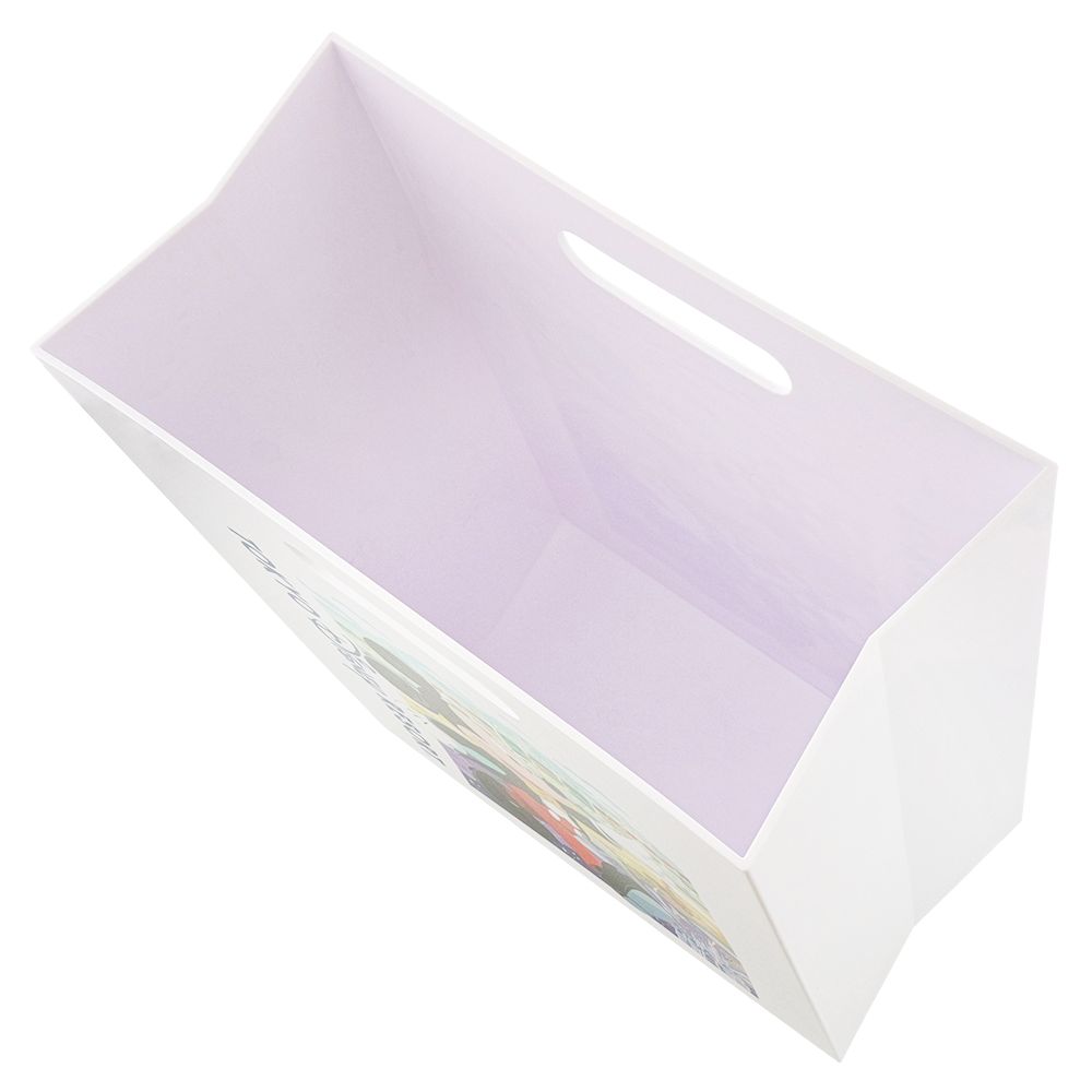 マルチボックス ミッキー ミニー