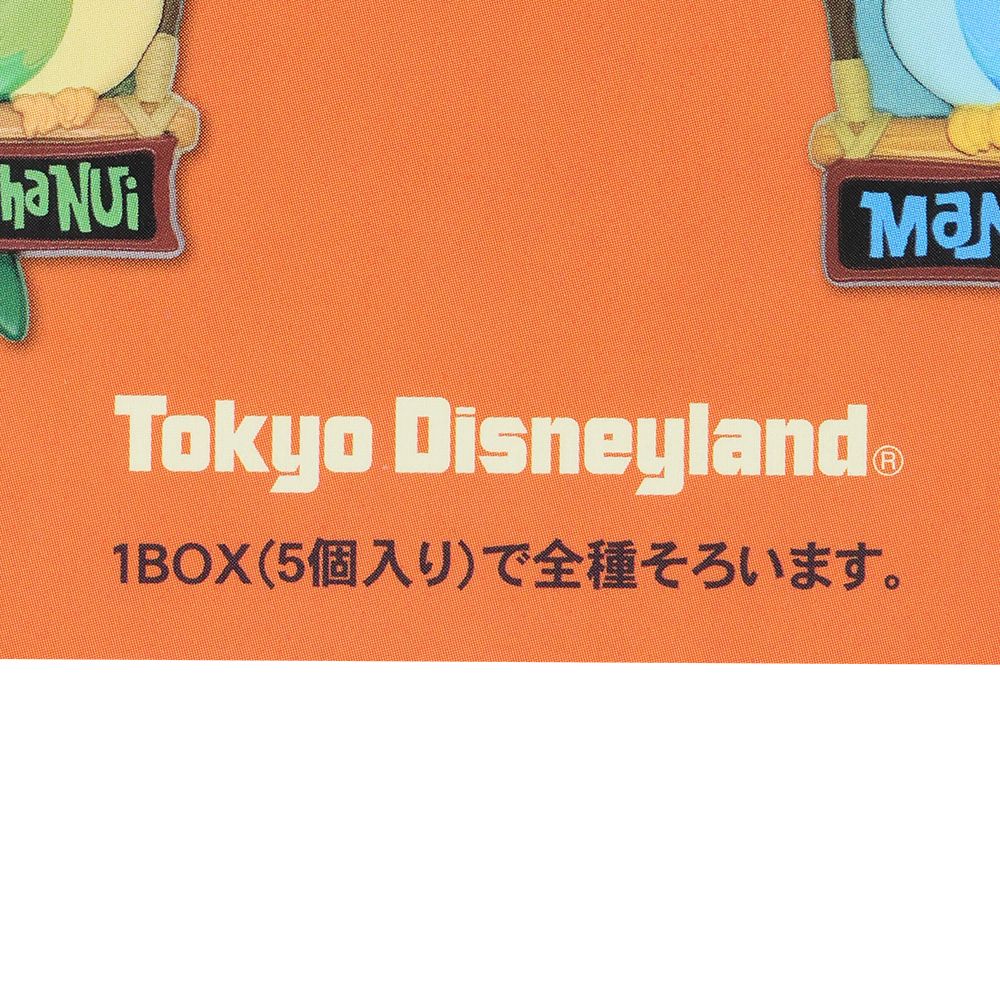 デコレーションマグネット5個 魅惑のチキルーム