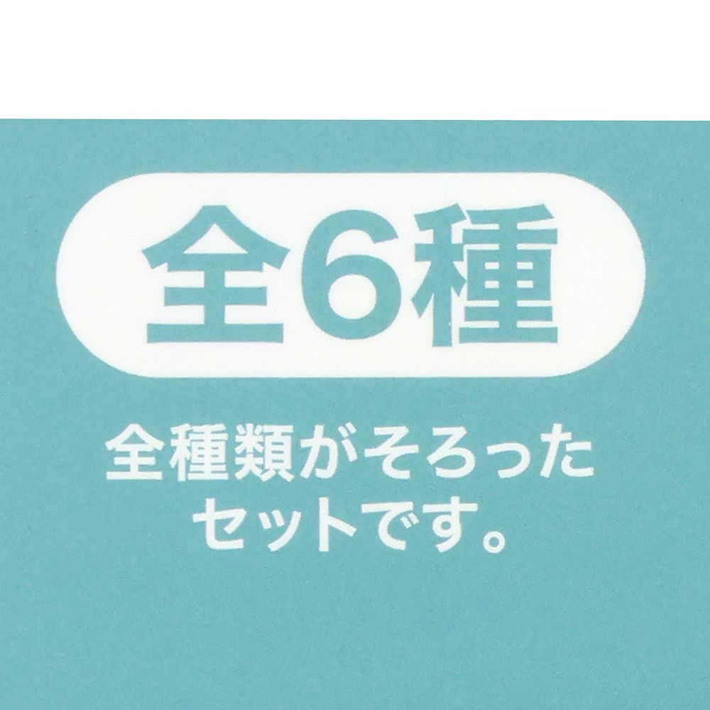 デコレーションマグネット6個 ディズニーストーリービヨンド