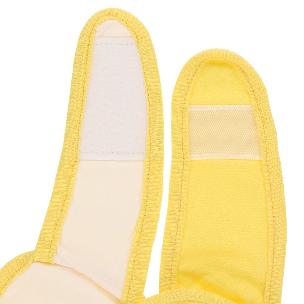 ベビーギフト ミッキーマウスと仲間たち