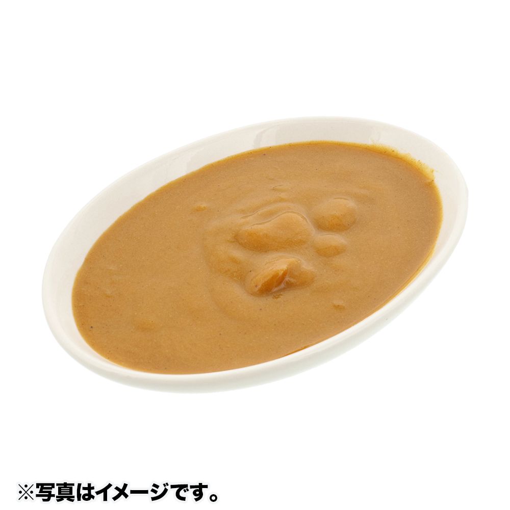 レトルトカレー 紙箱 ジーニー