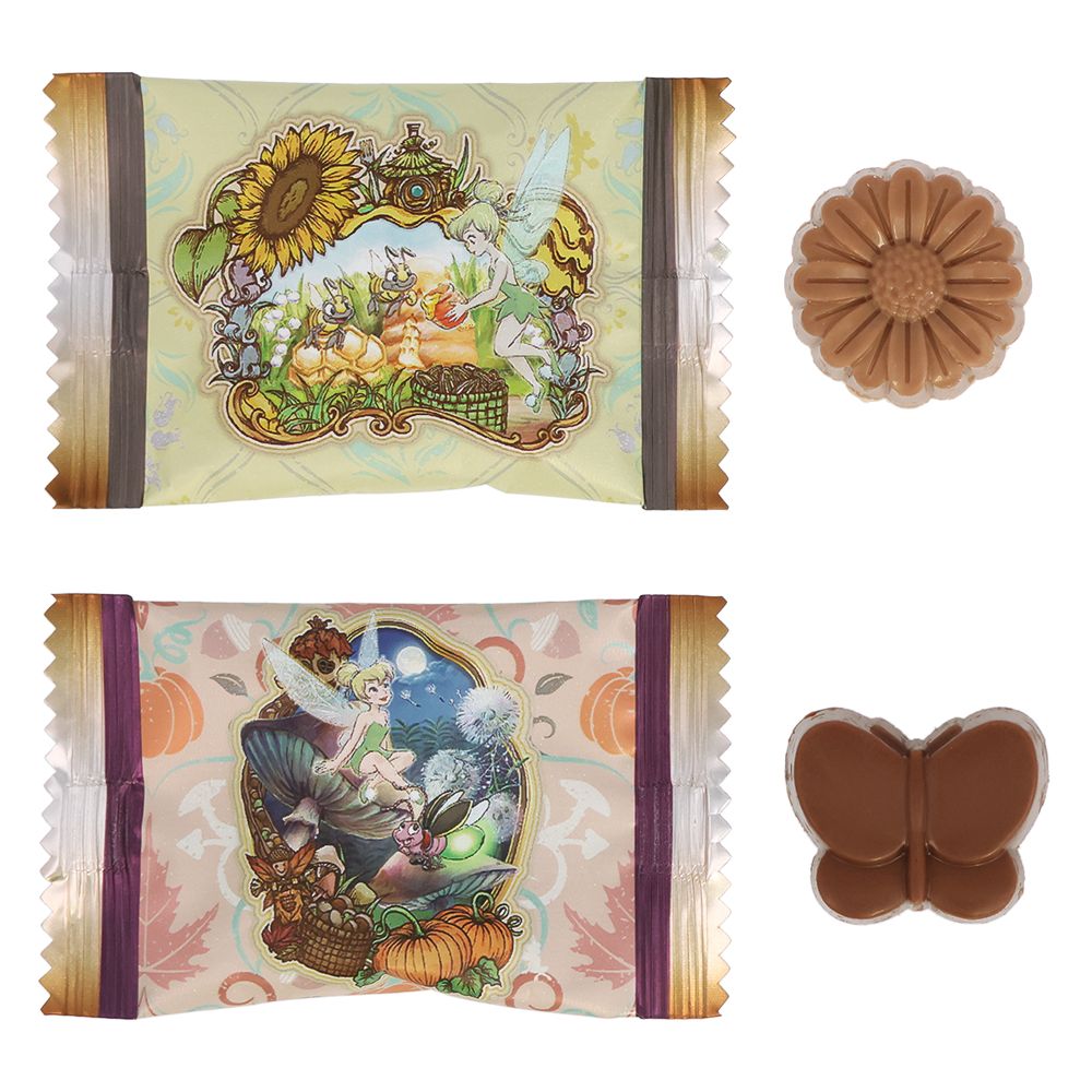 チョコレート 紙箱 ディズニー ティンカーベル