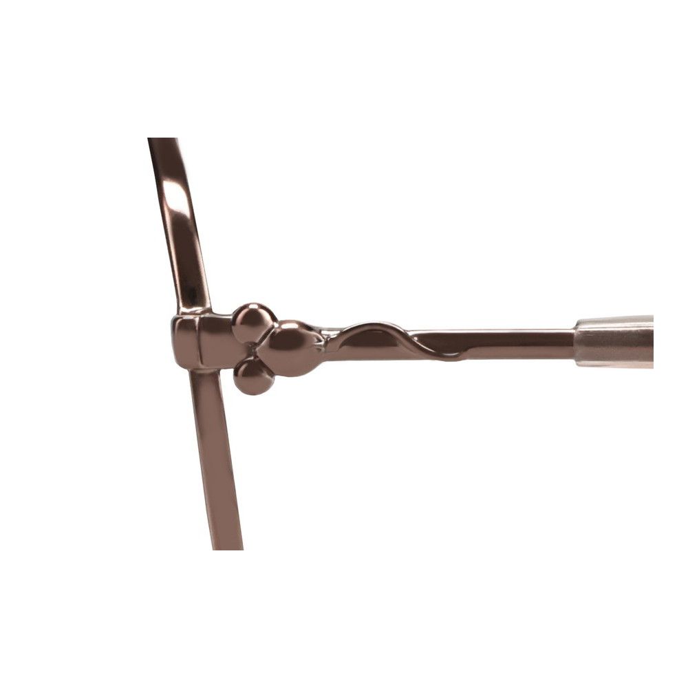 Zoff Sunglasses チップとデール ボストン型 サングラス フリーサイズ ZY242G22_43E1