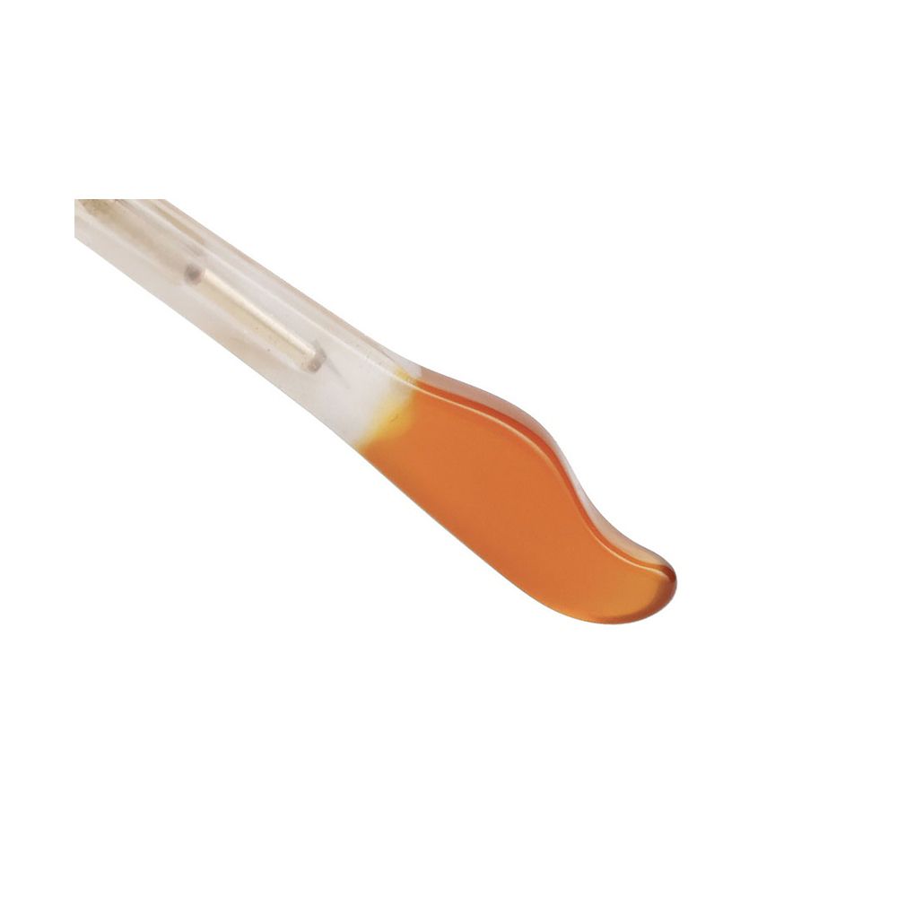 Zoff Baby Animals【 おしゃれキャット ( マリー ) モデル】 ボストン型 メガネ｜伊達メガネ 度付き (レンズ交換券付き) フリーサイズ  ZA251045_43A1