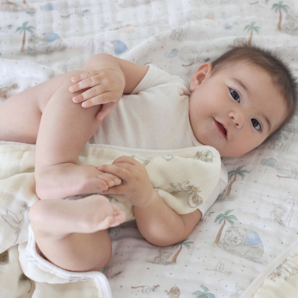 【aden + anais】モスリン ドリームブランケット my darling dumbo  ADBC10014DIJ